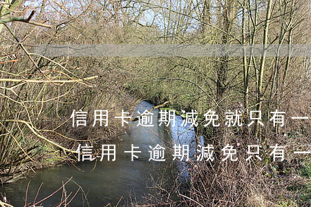 信用卡逾期減免就只有一天時間嗎是真的嗎，信用卡逾期減免只有一天？真相大揭秘！